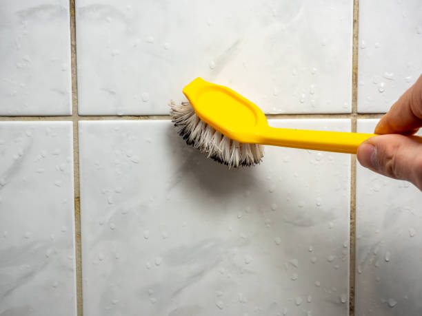 Best Attic Mold Removal  in Tomball, TX