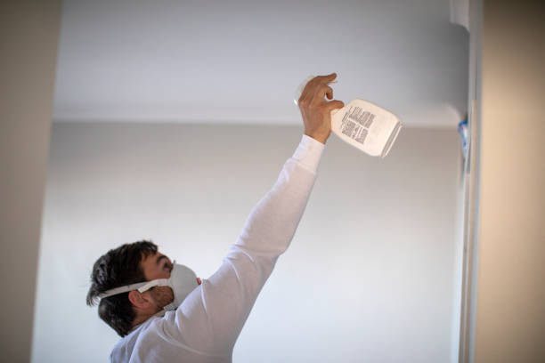 Best Mold Inspection  in Tomball, TX