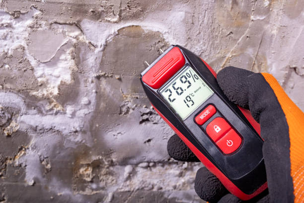 Best Residential Mold Removal  in Tomball, TX