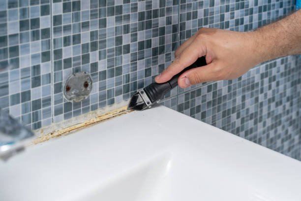 Best Mold Removal Company Near Me  in Tomball, TX